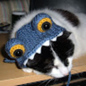 Meet your Posher, Melanie